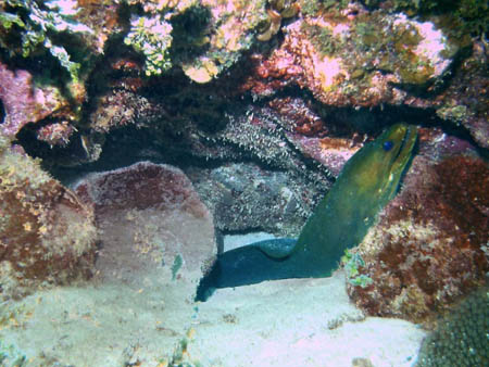 Belize scuba08