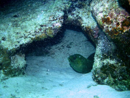 Belize scuba09